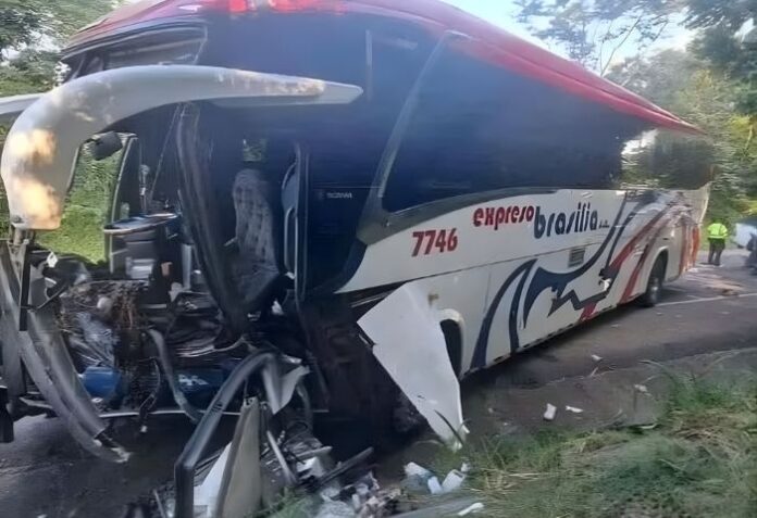 Conductor samario resultó herido en choque entre bus de Brasilia y ...