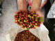 FNC inaugura central de beneficio en Huila para revolucionar proceso cafetero