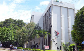 MinEducación pide suspender elección de rector de la Universidad del Tolima