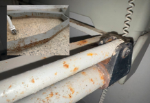 Moho, presuntos roedores y camillas oxidadas, las graves denuncias contra Clínica La Milagrosa