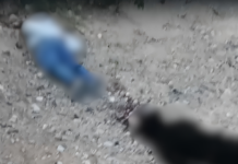 Hallaron dos cuerpos sin vida a la salida de Riohacha