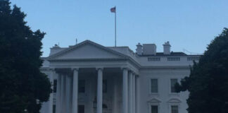 FBI desarticula supuesto plan para atacar la casa blanca durante pelea de la UFC