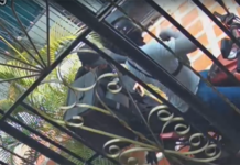 EN VIDEO: Delincuente armado atracó a domiciliario mientras entregaba un pedido en La Ciudadela