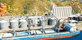 Primera exportación de pimentones colombianos hacia los Estados Unidos