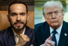Trump también se va con ´El Tigre´