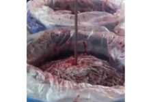 Incautaron 578 kilos de cocaína camuflados en pulpa de guayaba
