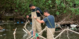 Humedales de Playa Dormida, piden una urgente protección