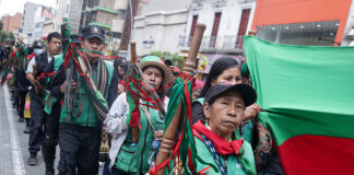 Agencia nacional de tierras niega haber entregado nuevos títulos al CRIC