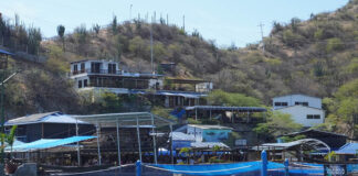 Centro de Vida Marina y Taxi Marino celebran el ‘orgullo samario’ con descuentos del 50%