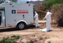 Hallaron restos óseos en una finca