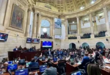 Senado hará debate por denuncias sobre ‘voto fusil’ en elecciones presidenciales