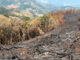 MinAmbiente suspende quemas abiertas controladas en zonas rurales para prevenir incendios forestales