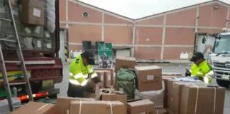 Red señalada de importar mercancía irregular por más de $9.100 millones deberá responder ante la justicia