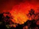 Emergencia en Tolima: ciudadanos y sector privado se unen frente a incendios forestales
