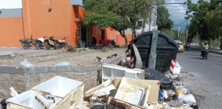 Volvieron los basureros a cielo abierto en la ciudad