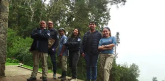 Registraron 15 tipos distintos de orquídeas en el Parque Sierra Nevada de Santa Marta