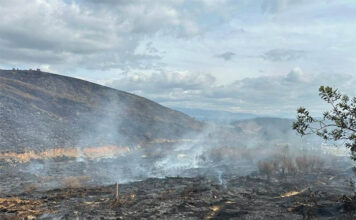 Emergencia por incendios en Cundinamarca: cuatro municipios arden en llamas