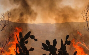 Colombia tiene 18 incendios forestales activos: estos son los departamentos afectados
