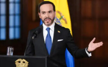 Gobierno restringe ingreso de drones, precursores químicos y maquinaria amarilla al país