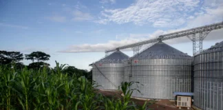 Fedearroz advierte grandes riesgos del sector por precios y clima