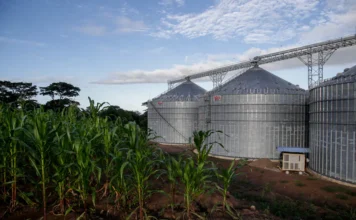 Fedearroz advierte grandes riesgos del sector por precios y clima