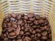 Más del 55% de los cafeteros acudieron a las urnas en estas elecciones