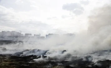 Autoridades trabajan en controlar incendio forestal en Tolima