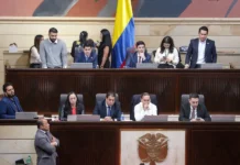 El largo camino que deberá cumplir la reforma antimermelada