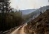 Más de 100 personas luchan contra incendios forestales en Villa de Leyva