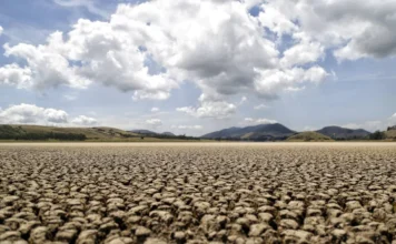 MinAgricultura advierte que el Fenómeno del Niño podría llevar al Gobierno a declarar una emergencia nacional