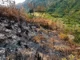 Incendio en páramo de Cumbal afecta 70 hectáreas y lanzan alerta por posible ecocidio