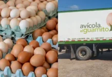 Policía del Atlántico confirma recuperación en Magdalena de furgones cargados con 180 mil huevos