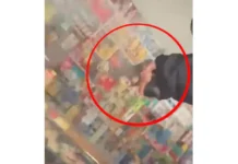 EN VIDEO: “¿No le dijeron que tenían que cerrar la tienda?”: así cerró delincuente una tienda en La Paz