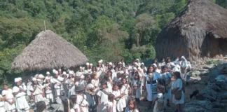 Pueblo Arhuaco pide garantías para las comunidades tras hechos de violencia