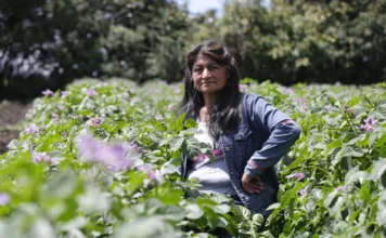 Día de las Mujeres Rurales: persisten brechas de género y autonomía económica