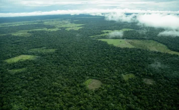 Gobierno revoca resolución que declaró la Amazonía como reserva definitiva