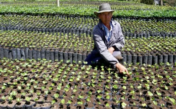 Minagricultura buscará inversión y alianzas estratégicas en Europa e Israel