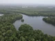 Gobierno anuncia fortalecimiento del monitoreo de manglares del Atlántico