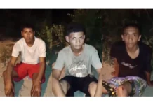 EN VIDEO: Capturados tres jóvenes al intentar asaltar a conductor de tractomula en la vía Santa Marta- Ciénaga