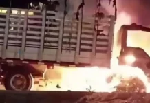 Camión cargado de guineo se incendió y explotó en Tasajera